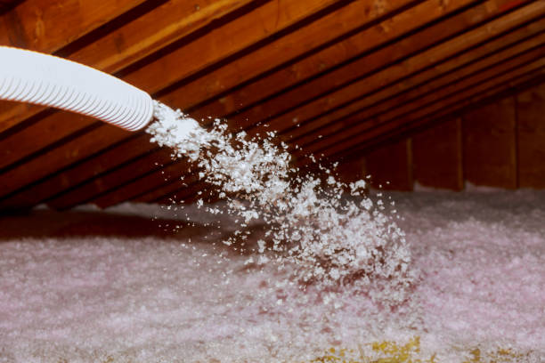 Best Garage Insulation Installation  in , WA