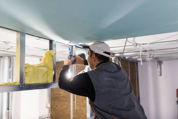 Best Insulation Contractors for Homes  in , WA